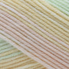 Cascade Yarns Longwood Sport Stripe - 517 - Boston 886904048405 | Yarn at Michigan Fine Yarns