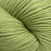 Cascade Yarns MeriSeta - 09 - Fern 886904079065 | Yarn at Michigan Fine Yarns