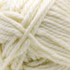 Cascade Yarns Pacific Bulky - 1 - Cream 886904032299 | Yarn at Michigan Fine Yarns