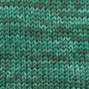 Cascade Yarns Pacific Bulky Effects - 505 - Sea Green  | Yarn at Michigan Fine Yarns