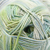 Cascade Yarns Pandamonium Multis - 407 - Gentle Sea | Yarn at Michigan Fine Yarns