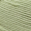 Cascade Yarns Sarasota - 201 - Baby Lime | Yarn at Michigan Fine Yarns