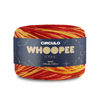 Circulo Yarns Whoopee Zodiac -9108 7891113313940 | Yarn at Michigan Fine Yarns