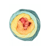 Juniper Moon Farm Cumulus Rainbow | Yarn at Michigan Fine Yarns
