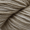 Koigu Jasmine DK - J5303  | Yarn at Michigan Fine Yarns