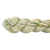 Koigu Koigu KPPPM (1 of 2) -Grass  | Yarn at Michigan Fine Yarns