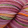 Koigu Koigu KPPPM (2 of 2) - 007 | Yarn at Michigan Fine Yarns