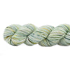 Koigu Koigu KPPPM (1 of 2) | Yarn at Michigan Fine Yarns