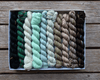 Koigu Koigu KPPPM Pencil Box Sets -Snowy Pines  | Yarn at Michigan Fine Yarns