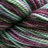 Koigu Koigu KPPPM (1 of 2) | Yarn at Michigan Fine Yarns