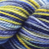 Koigu Koigu KPPPM (1 of 2) | Yarn at Michigan Fine Yarns