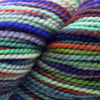 Koigu Koigu KPPPM (1 of 2) | Yarn at Michigan Fine Yarns