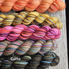 Koigu Paint Cans -Curio | Yarn at Michigan Fine Yarns