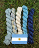 Koigu Paint Cans -FIFA World Cup (Argentina)  | Yarn at Michigan Fine Yarns