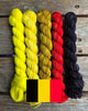 Koigu Paint Cans -FIFA World Cup (Belgium)  | Yarn at Michigan Fine Yarns