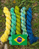 Koigu Paint Cans -FIFA World Cup (Brazil)  | Yarn at Michigan Fine Yarns
