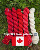 Koigu Paint Cans -FIFA World Cup (Canada)  | Yarn at Michigan Fine Yarns