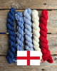 Koigu Paint Cans -FIFA World Cup (England)  | Yarn at Michigan Fine Yarns