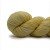 Koigu Winnie - W5211  | Yarn at Michigan Fine Yarns