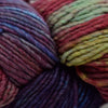 Malabrigo Worsted - 684 - Camaleon | Yarn at Michigan Fine Yarns