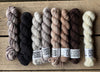 Michigan Fine Yarns Elliot Shawl Yarn Kit (Pre - Order) - Tortie Cattitude  | Yarn at Michigan Fine Yarns