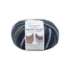 OnLine Supersocke 6 - Ply Merino Color - 3044 4014366220251 | Yarn at Michigan Fine Yarns