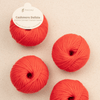 Pascuali Cashmere Delizia -26 - Poppy Red  | Yarn at Michigan Fine Yarns
