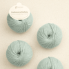 Pascuali Cashmere Delizia -50 - Horizon  | Yarn at Michigan Fine Yarns