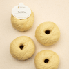 Pascuali Cumbria -303 - Buttercup  | Yarn at Michigan Fine Yarns