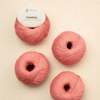 Pascuali Cumbria -309 - Blush  | Yarn at Michigan Fine Yarns