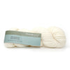 Plymouth Yarns DK Merino Superwash - 1001 Natural 843273029589 | Yarn at Michigan Fine Yarns