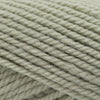 Plymouth Yarns Encore Chunky - 1231 - Pale Greenhouse 843273056417 | Yarn at Michigan Fine Yarns
