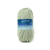 Plymouth Yarns Encore Chunky - 1231 - Pale Greenhouse 843273056417 | Yarn at Michigan Fine Yarns