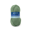 Plymouth Yarns Encore Chunky - 1232 - Light Greenhouse 843273008287 | Yarn at Michigan Fine Yarns