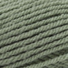 Plymouth Yarns Encore Chunky - 1232 - Light Greenhouse 843273008287 | Yarn at Michigan Fine Yarns