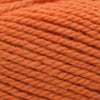 Plymouth Yarns Encore Chunky - 1383 - Bright Orange 843273049679 | Yarn at Michigan Fine Yarns