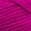 Plymouth Yarns Encore Chunky - 1385 - Hot Pink(dis) 843273005033 | Yarn at Michigan Fine Yarns