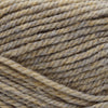 Plymouth Yarns Encore Chunky - 1415 - Fawn Mix 843273054895 | Yarn at Michigan Fine Yarns