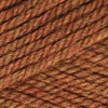 Plymouth Yarns Encore Chunky - 1445 - Burnished Heather(Discontinued) 843273019412 | Yarn at Michigan Fine Yarns