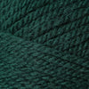 Plymouth Yarns Encore Chunky - 204 - Evergreen 843273004784 | Yarn at Michigan Fine Yarns