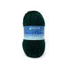 Plymouth Yarns Encore Chunky - 204 - Evergreen 843273004784 | Yarn at Michigan Fine Yarns