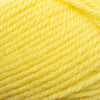 Plymouth Yarns Encore Chunky - 215 - Light Yellow 843273004807 | Yarn at Michigan Fine Yarns