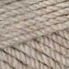 Plymouth Yarns Encore Chunky - 240 - Taupe Heather 843273004845 | Yarn at Michigan Fine Yarns
