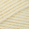Plymouth Yarns Encore Chunky - 256 - Ecru 843273004869 | Yarn at Michigan Fine Yarns