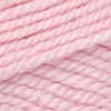 Plymouth Yarns Encore Chunky - 29 - Baby Pink 843273004678 | Yarn at Michigan Fine Yarns