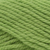 Plymouth Yarns Encore Chunky - 3335 - Rio Lime 843273005088 | Yarn at Michigan Fine Yarns