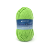 Plymouth Yarns Encore Chunky - 3335 - Rio Lime 843273005088 | Yarn at Michigan Fine Yarns