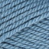 Plymouth Yarns Encore Chunky - 515 - Wedgewood Blue 843273004920 | Yarn at Michigan Fine Yarns