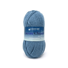 Plymouth Yarns Encore Chunky - 515 - Wedgewood Blue 843273004920 | Yarn at Michigan Fine Yarns
