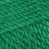 Plymouth Yarns Encore Chunky - 54 - Christmas Green 843273004685 | Yarn at Michigan Fine Yarns